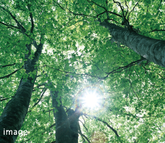 24時間換気システム